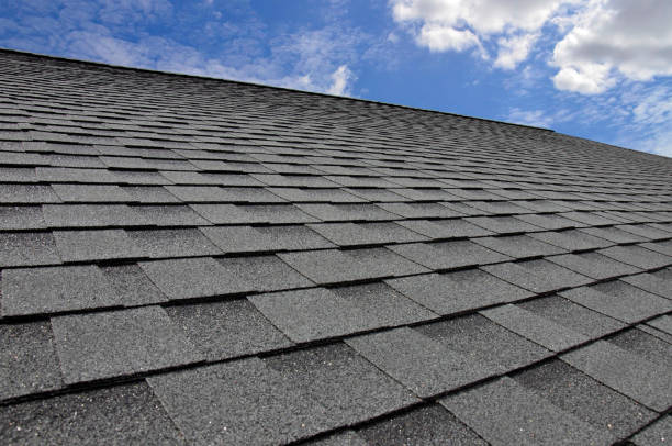 Best Roof Maintenance and Cleaning  in Jensen Beach, FL